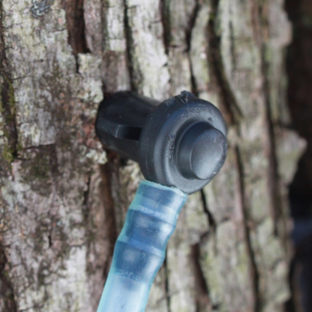 A tap in a maple tree, collecting sap to make maple syrup