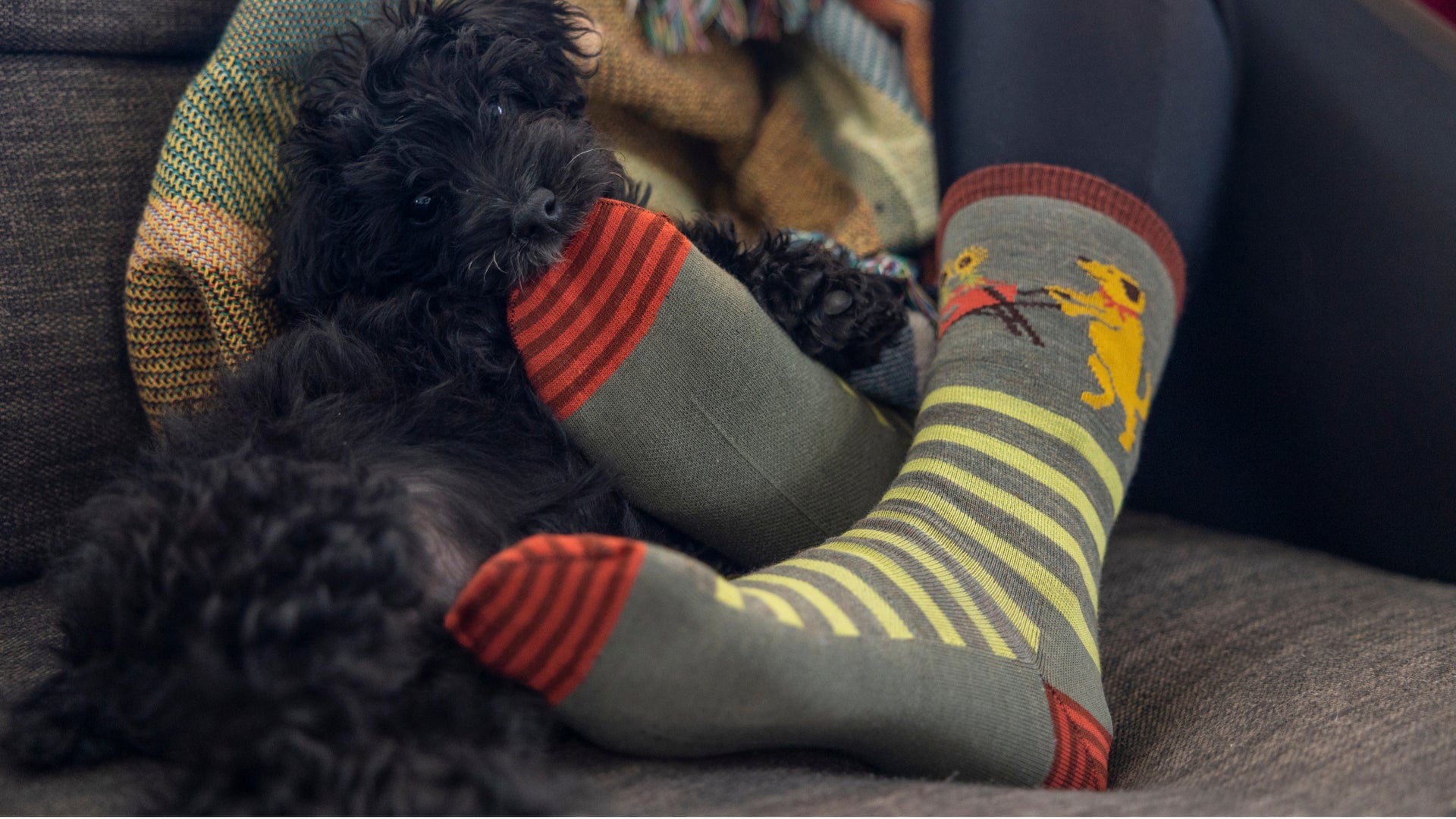 Women's animal haus In herb being featured on model.