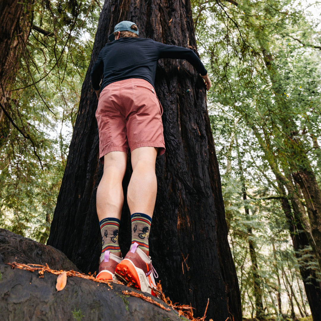 Model hugging tree wearing the 5003 Willoughby Micro crew hiking sock in Chestnut