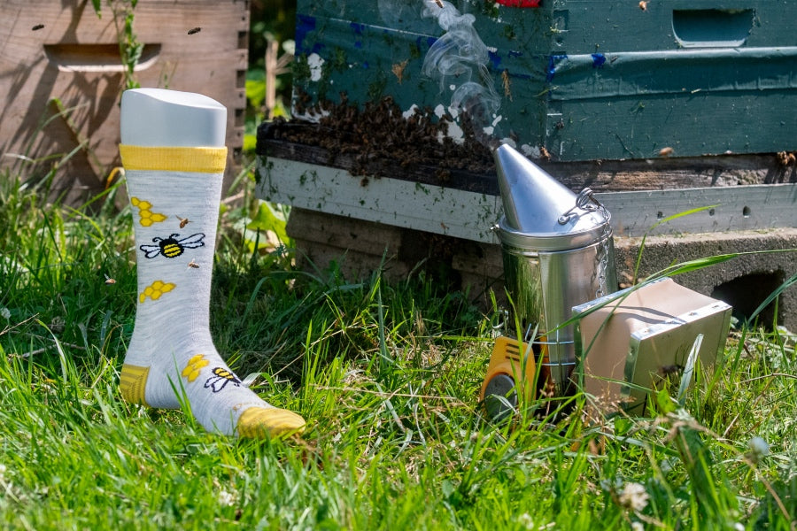 A crew height sock with honeybee and honeycomb pattern next to apiary equipment