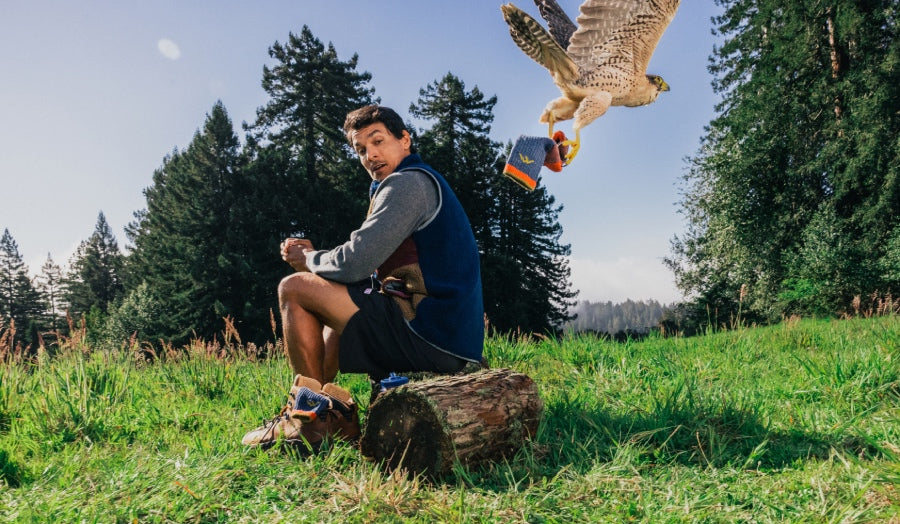A hiker looking shocked as a falcon steals his hiking sock