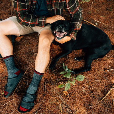 Planning a Thru Hike with a Dog: Four-Legged Trail Partners