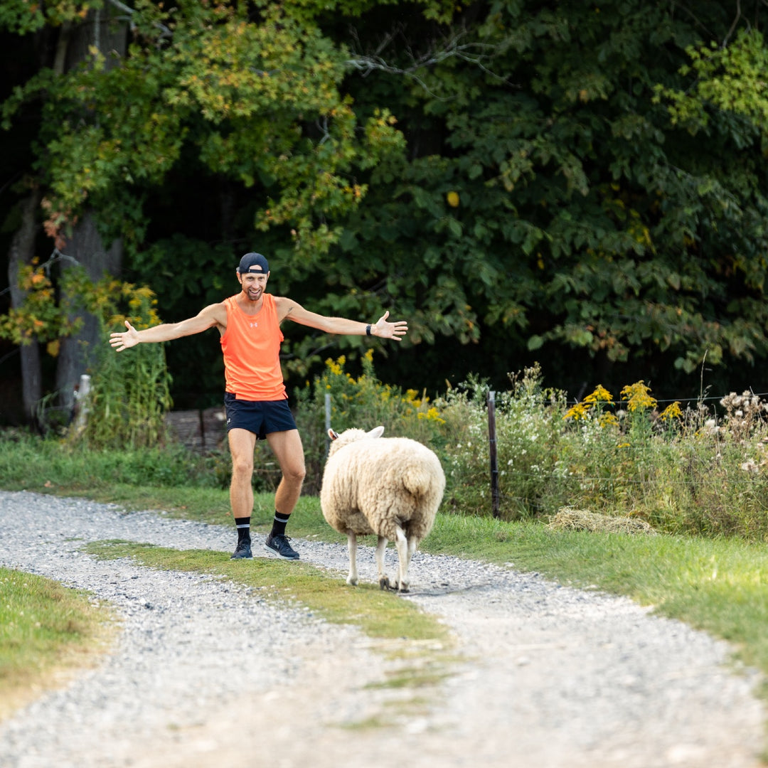 A runner with arms spread wide, ready to hug a cute sheep