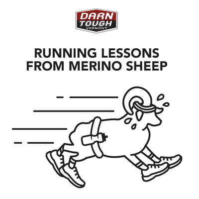 What Sheep Taught Us About Running in Merino Socks
