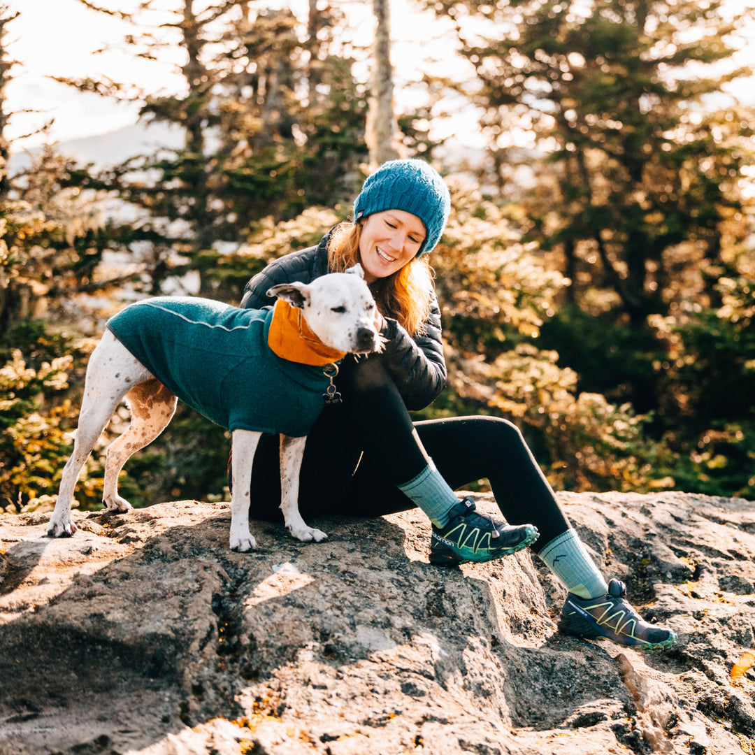 Female hiker sitting on a rock, petting a dog, wearing Women's Hiker Micro Crew Hiking sock in Aqua Heather, Lifestyle Image