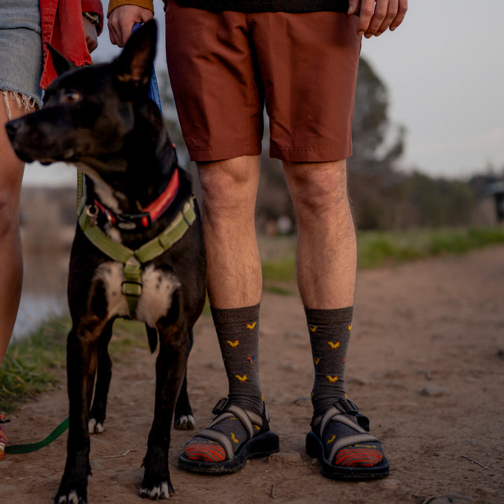 Model wearing 6060 socks in Taupe colorway while wearing hiking sandals standing next to a black and white dog