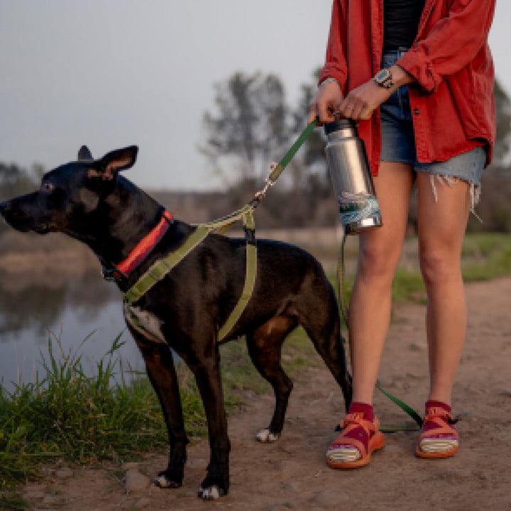 Model wearing hiking sandals and 6074 socks in cranberry colorway while holding metal water bottle and a black dog on a leash