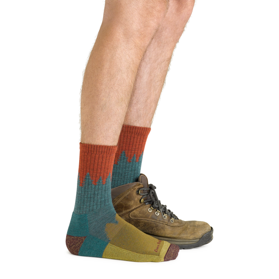 Darn Tough Number 2 Micro Cushion Sock Darn Tough Number 2 Micro Cushion Sock
