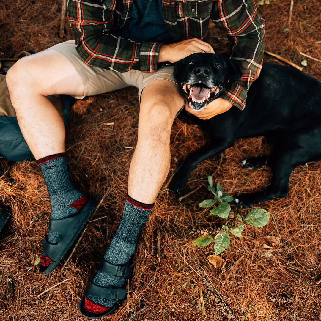 Overhead shot of model sitting on the ground with their dog wearing the men's mountaineering micro crew hiking sock in smoke