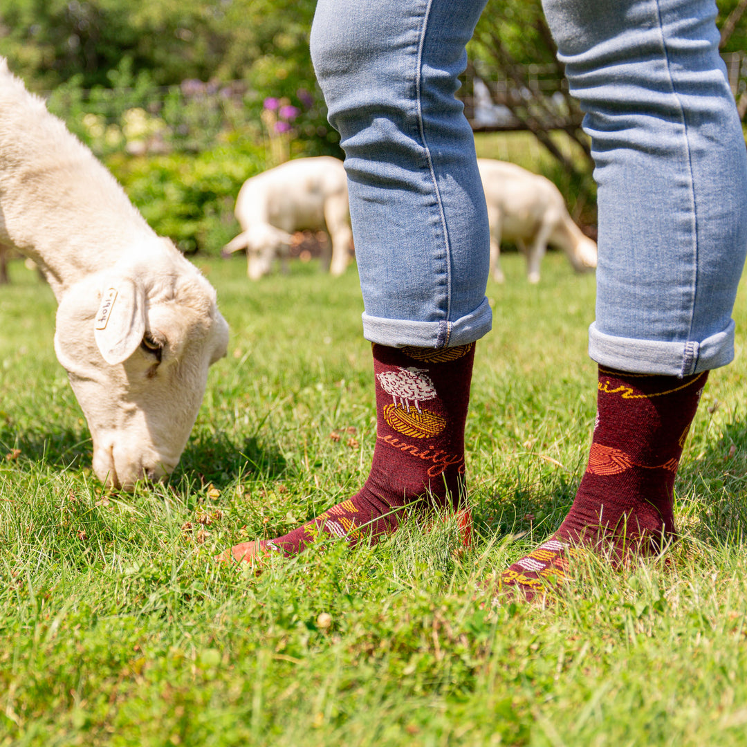 Model standing in grass wearing the 6218 burgundy with lamb eating