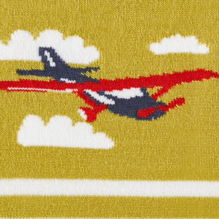 Call out detail image of the of the 6037 buttercup reverse image of airplane flying