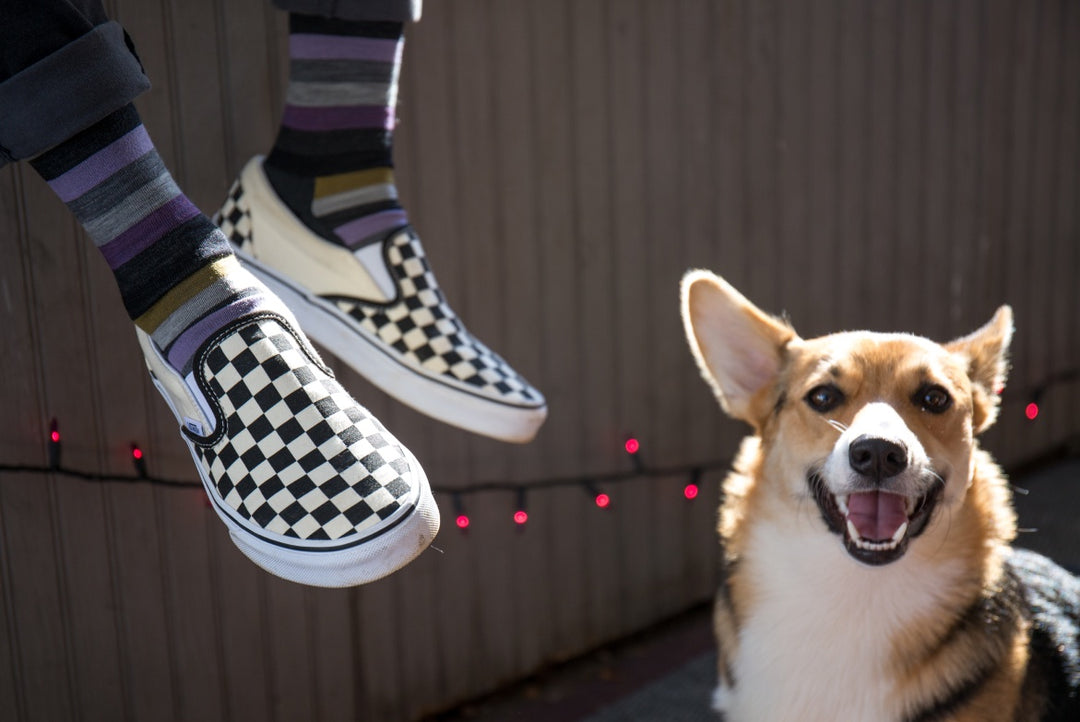 A pair of feet wearing fun striped socks and checked shoes next to a corgi dog