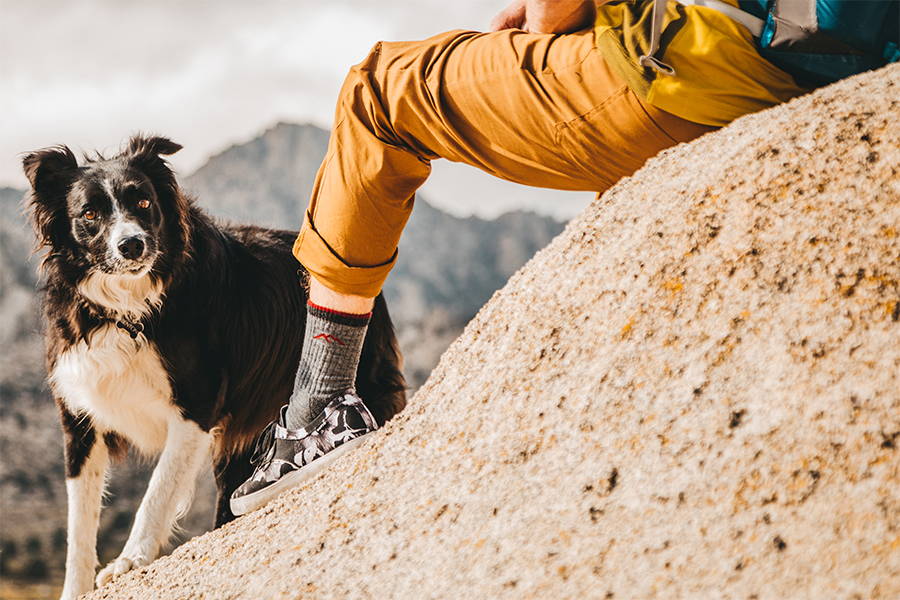 Hiker seated on rock with his dog wearing merino wool hiking socks in gray
