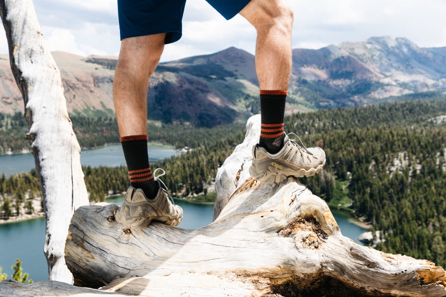 Hiker standing on fallen tree showing off his Darn Tough hiking socks, super stylish and comfy