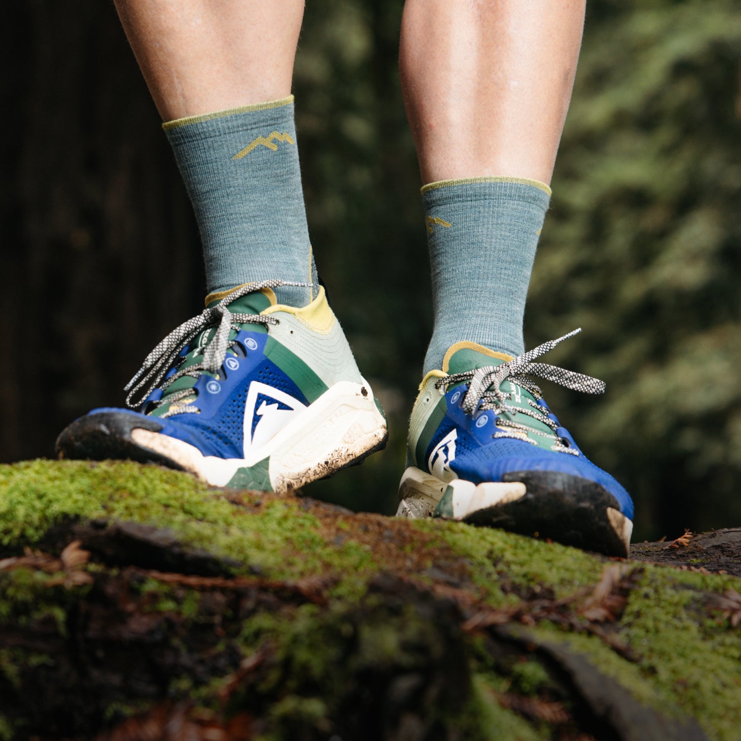 Image of model wearing the men's light hiker micro crew hiking sock