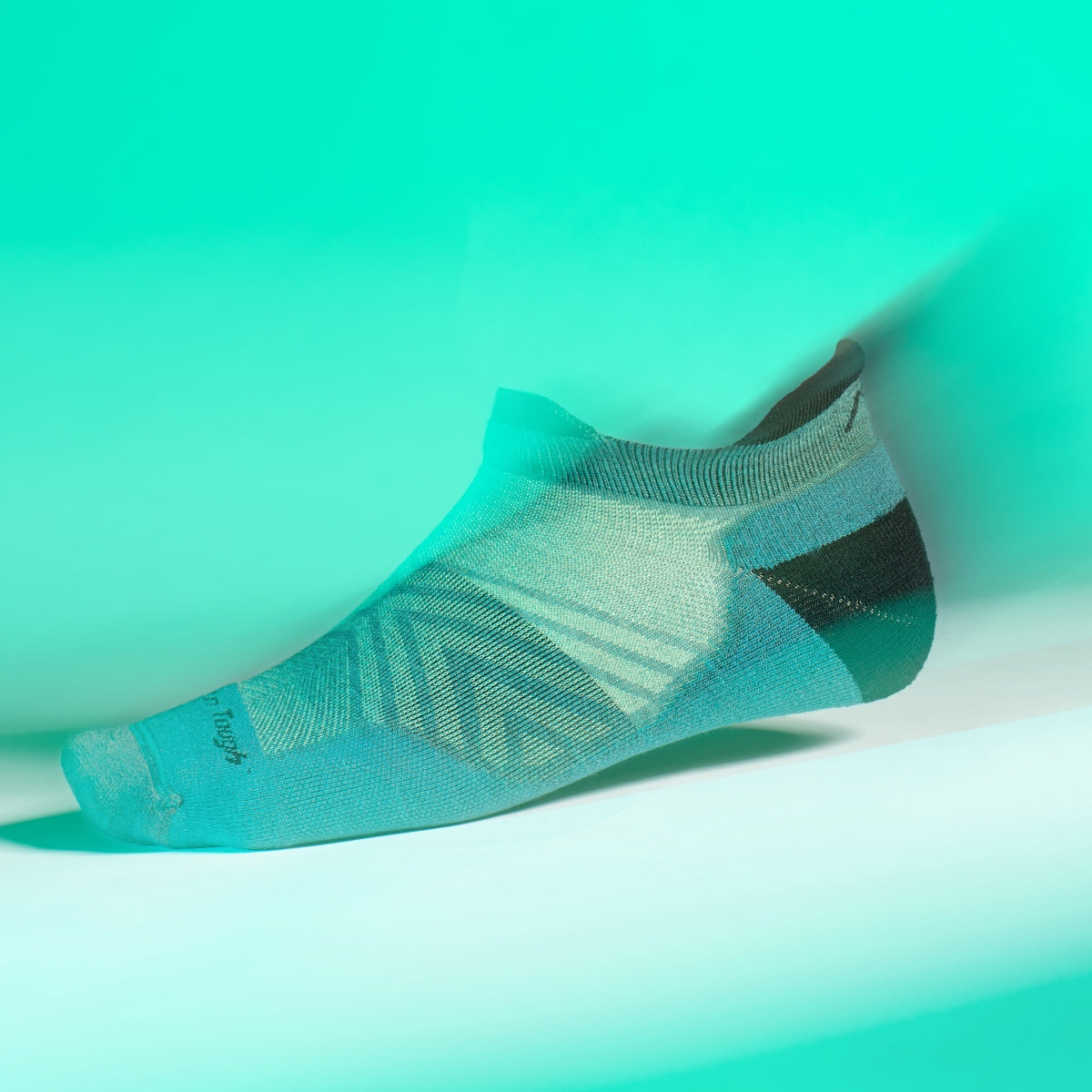 A close up look at the Darn Tough no show run sock so you can see the tech features