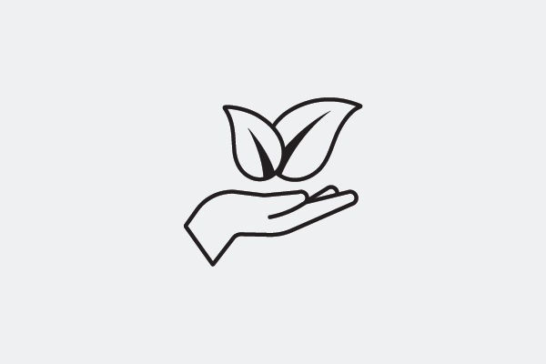 Illustration of a hand holding some leaves