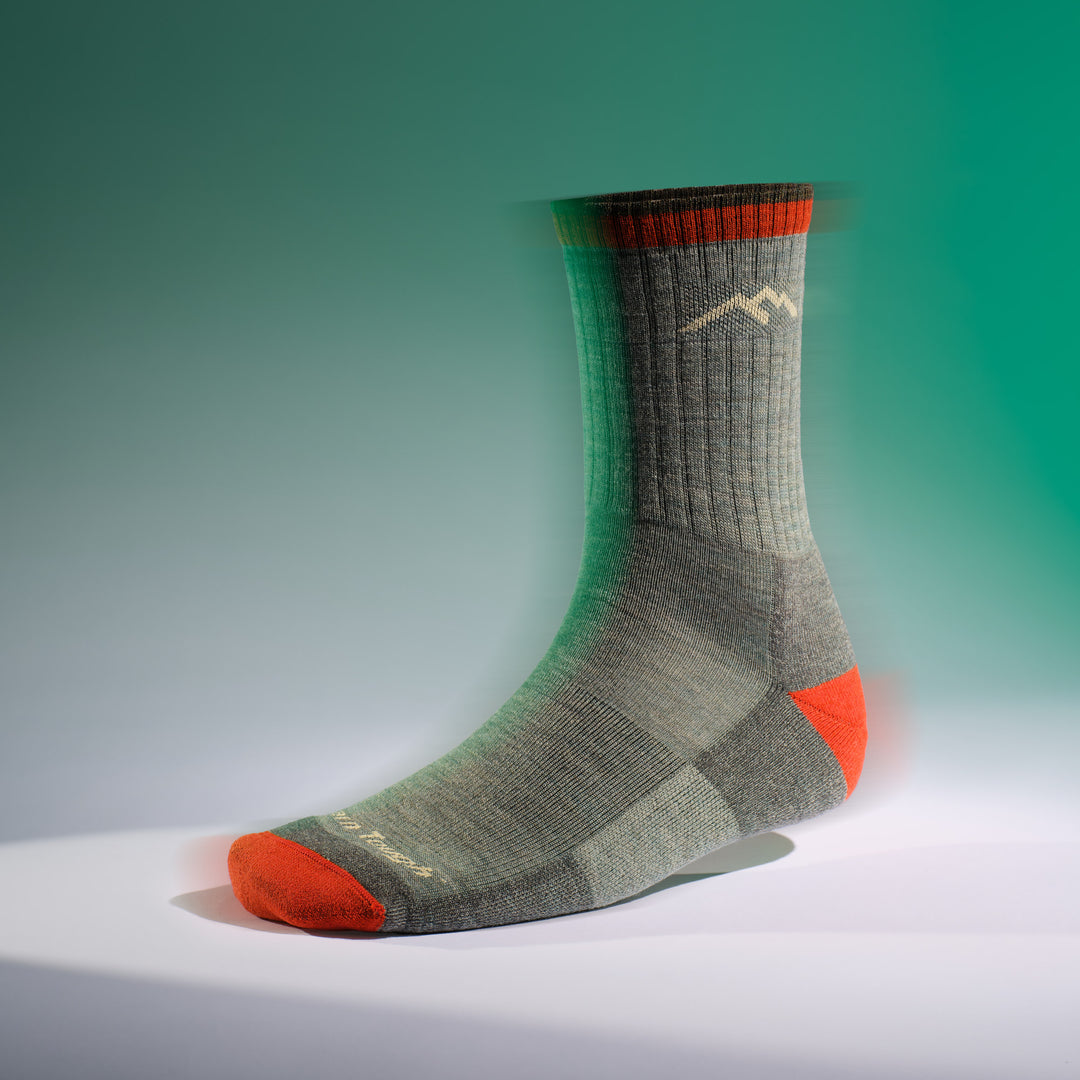 image of sock on form 1466 day sock in sage colorway