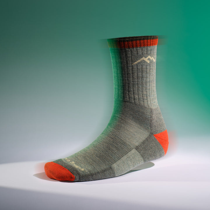 image of sock on form 1466 day sock in sage colorway