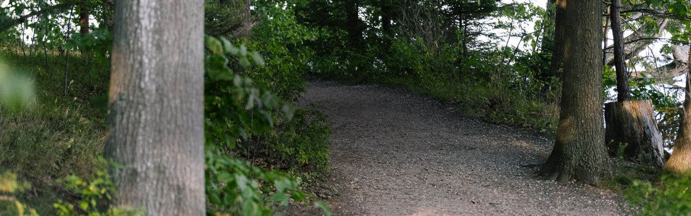 A trail through the woods, perfect for trail running