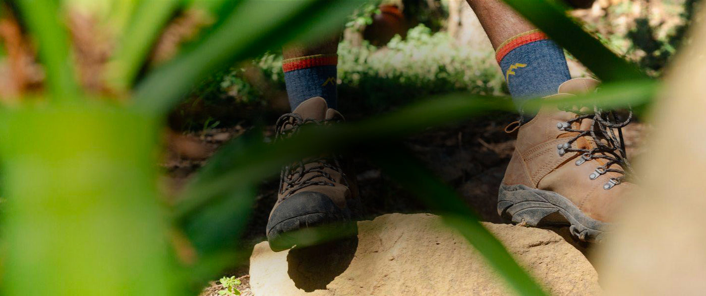 Feet wearing Darn Tough hiking socks, seen through some foliage 