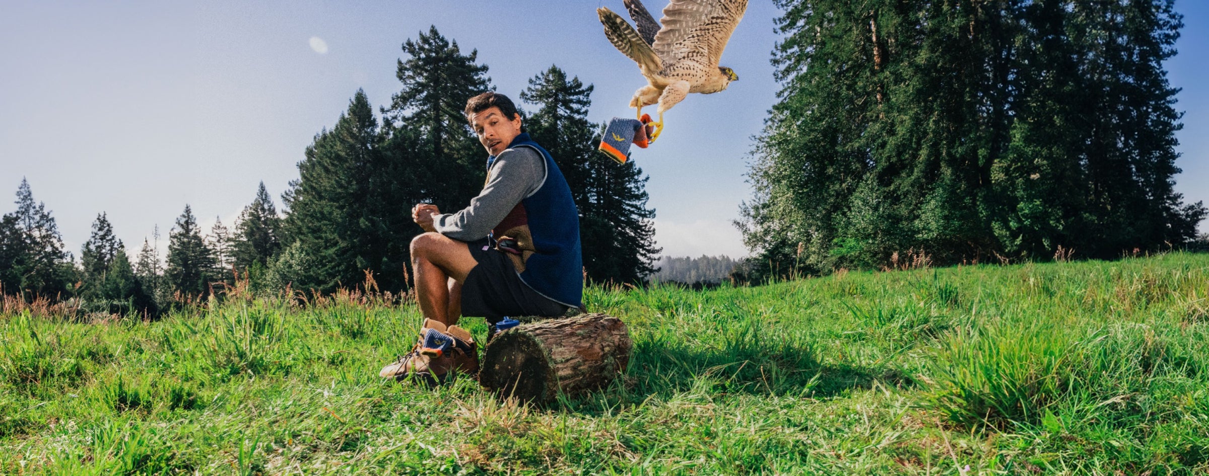 A hiker looking on in shock as a falcon flies off with one of his hiking socks