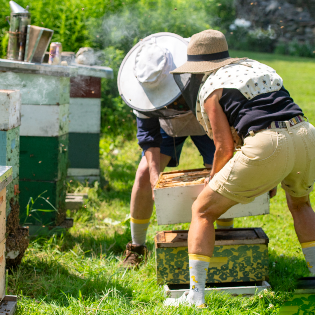 Models wearing the 4087 Honeybee while lifting honey bee boxes