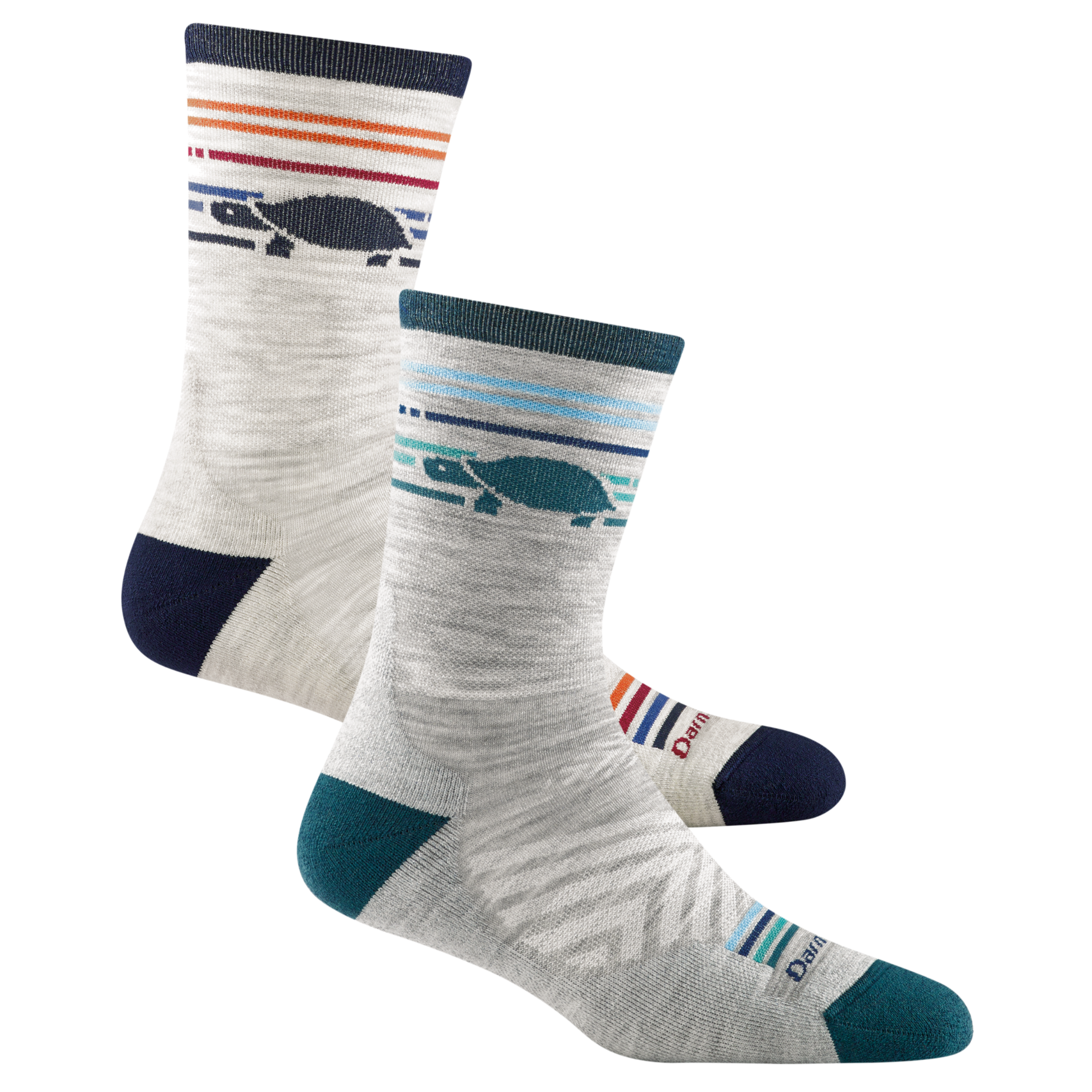 2 pack bundle shot of the men's and women's pacer running socks in ash and gray