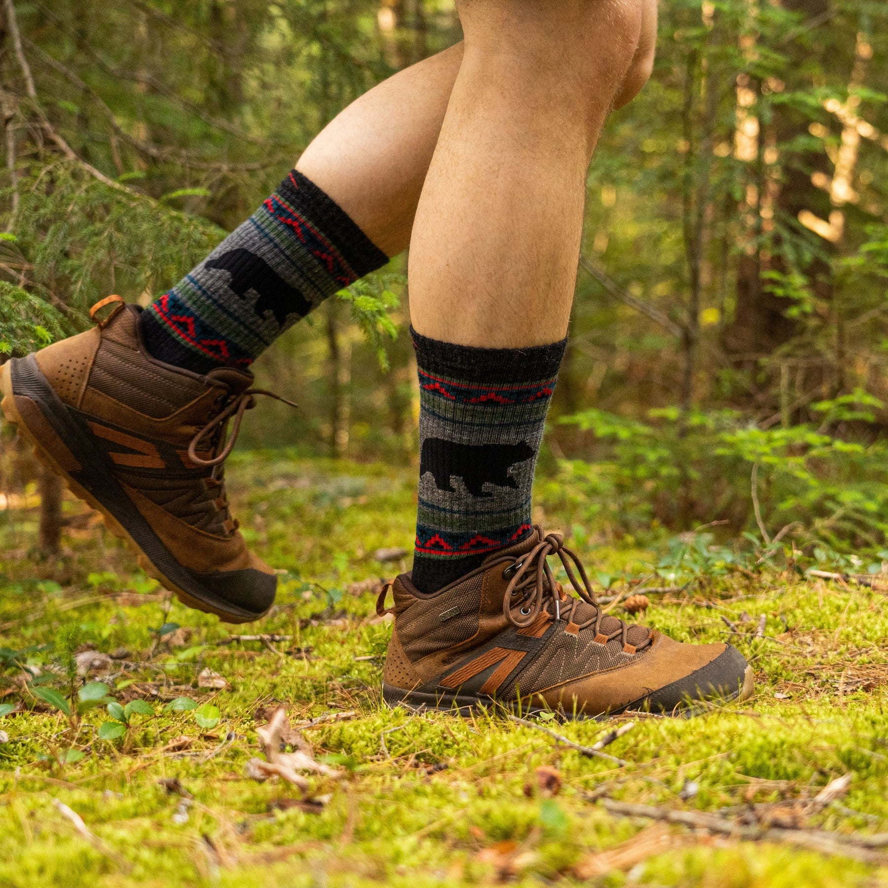 Men's and Women's Bear 2-Pack Hiking Socks – Darn Tough