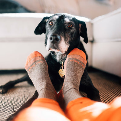 Lifestyle shot of model wearing Nomad boot socks in brown, laying on the floor with her dog.